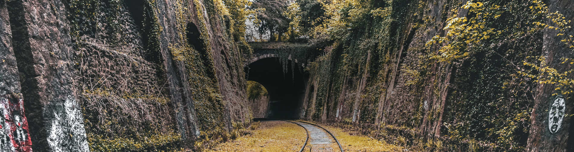 https://petiteceinture.org/wp-content/uploads/2020/03/florian-olivo--f2hoc1skk8-unsplashb.jpg