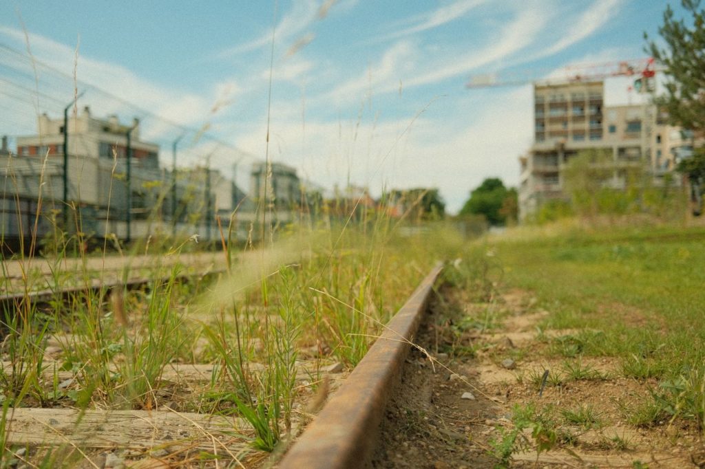 Bois de Charonne Petite Ceinture